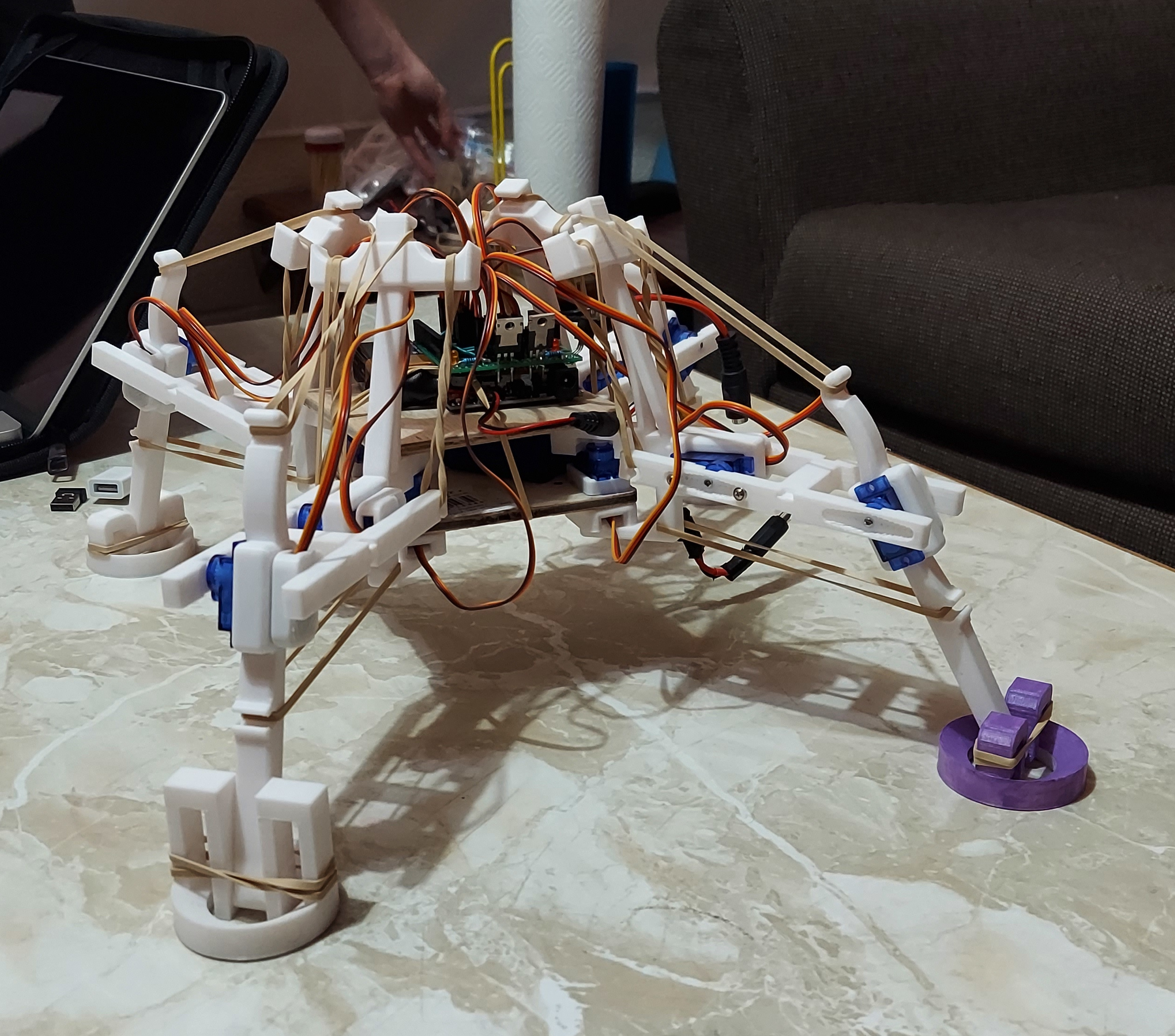 Quadruped Robot